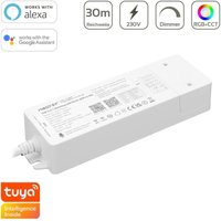 MiBoxer 5in1 Controller Netzteil 75W Einfarbig/CCT/RGB/RGBW/RGB+CCT 24V WL5-P75V24 MiBoxer 5in1 Controller Netzteil 75W Einfarbig/CCT/RGB/RGBW/RGB+CCT 24V WL5-P75V24 von MIBOXER