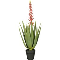 Mica Decorations Kunstpflanze Aloe vera im Topf grün rot Ø 43 x 82 cm von MICA DECORATIONS