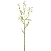 Mica Decorations Kunstpflanze Margerite creme 71 cm Mica Decorations Kunstpflanze Margerite creme 71 cm von MICA DECORATIONS