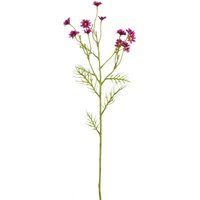 Mica Decorations Kunstpflanze Margerite fuchsie 71 cm Mica Decorations Kunstpflanze Margerite fuchsie 71 cm von MICA DECORATIONS