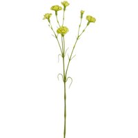 Mica Decorations Kunstpflanze Nelke grün 66 cm Mica Decorations Kunstpflanze Nelke grün 66 cm von MICA DECORATIONS