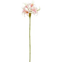 Mica Decorations Kunstpflanze Nerine rosa 59 cm Mica Decorations Kunstpflanze Nerine rosa 59 cm von MICA DECORATIONS