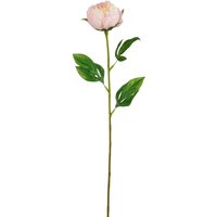 Mica Decorations Kunstpflanze Peonie hellrosa 60 cm Mica Decorations Kunstpflanze Peonie hellrosa 60 cm von MICA DECORATIONS