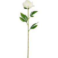 Mica Decorations Kunstpflanze Peonie weiß 60 cm Mica Decorations Kunstpflanze Peonie weiß 60 cm von MICA DECORATIONS