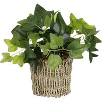 Mica Decorations - Mica Kunstpflanze Efeu im Korb grün 33 x 12 cm Kunstpflanzen von MICA DECORATIONS