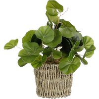 Mica Decorations - Mica Kunstpflanze Pilea im Korb grün 33 x 12 cm Kunstpflanzen von MICA DECORATIONS