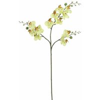 Mica künstliche Phalaenopsis grün, 75 cm Kunstpflanzen von MICA DECORATIONS