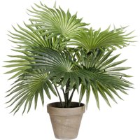 Mica Decorations - Mica Kunstpflanze Palme grün im Topf 40 cm Eingetopft von MICA DECORATIONS