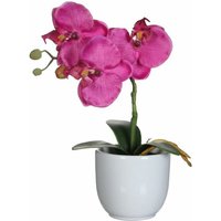 Mica Kunstpflanze Phalaenopsis im Topf violett, 26 x 12 cm Kunstpflanzen von MICA DECORATIONS