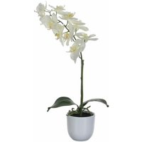 Mica Decorations - Mica Kunstpflanze Phalaenopsis im Topf weiß, 60 x 16 cm Kunstpflanzen von MICA DECORATIONS
