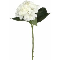 Mica künstliche Hortensie weiß, 51 cm Kunstpflanzen von MICA DECORATIONS