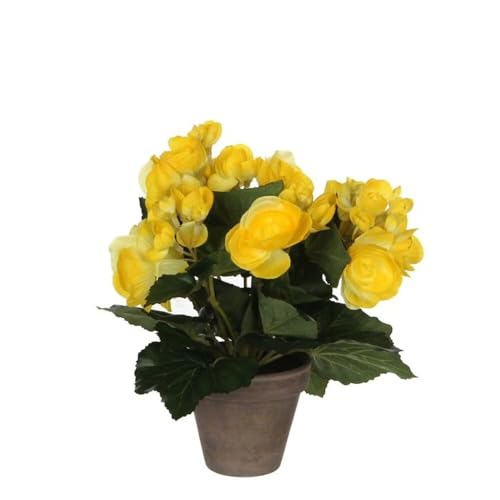 MICA Decorations 977007 Blumen, Begonia, gelb von MICA Decorations