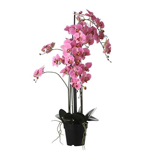 Mica decorations Phalaenopsis - Kunstpflanze - Rosa - H97 cm von MICA Decorations