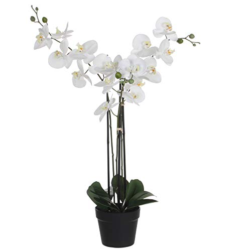 MICA Decorations Phalaenopsis - Kunstpflanze - Weiss - H79 cm von MICA Decorations