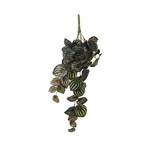 Mica decorations Peperomia - Kunsthängepflanze - Bunt - H58 cm von MICA Decorations