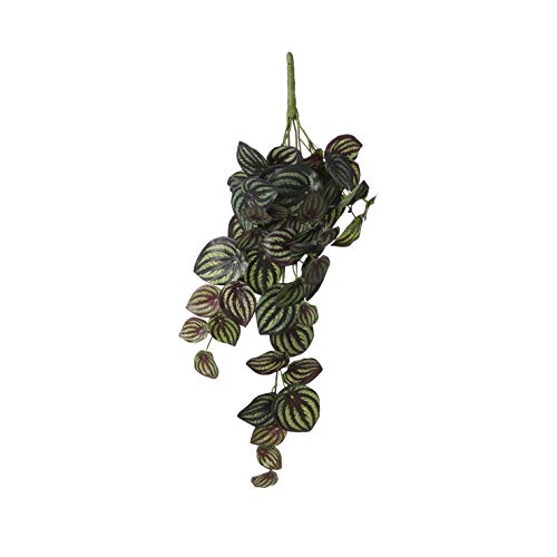Mica decorations Peperomia - Kunsthängepflanze - Bunt - H58 cm von MICA