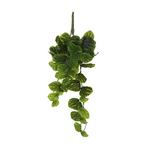 Mica decorations Peperomia - Kunsthängepflanze - H58 cm von MICA