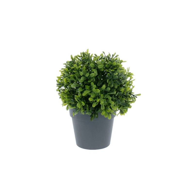 Kunstblume Buchsbaum im Topf - ca. 14 x 14 x 20 cm -1 Stück, MICA, Höhe 20 cm Kunstblume Buchsbaum im Topf - ca. 14 x 14 x 20 cm -1 Stück, MICA, Höhe 20 cm von MICA
