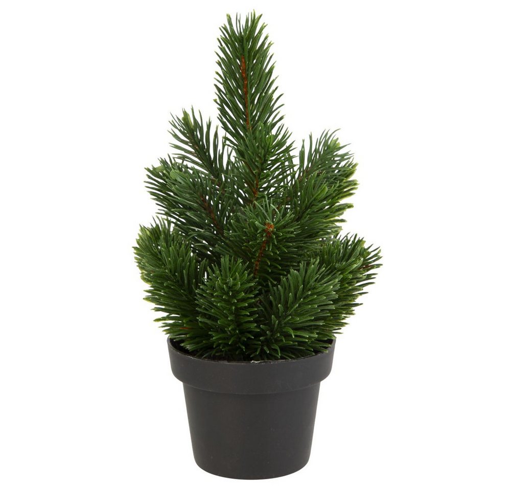 Kunstblume Mini Tannenbaum im Topf - ca. 22 cm, MICA Kunstblume Mini Tannenbaum im Topf - ca. 22 cm, MICA von MICA