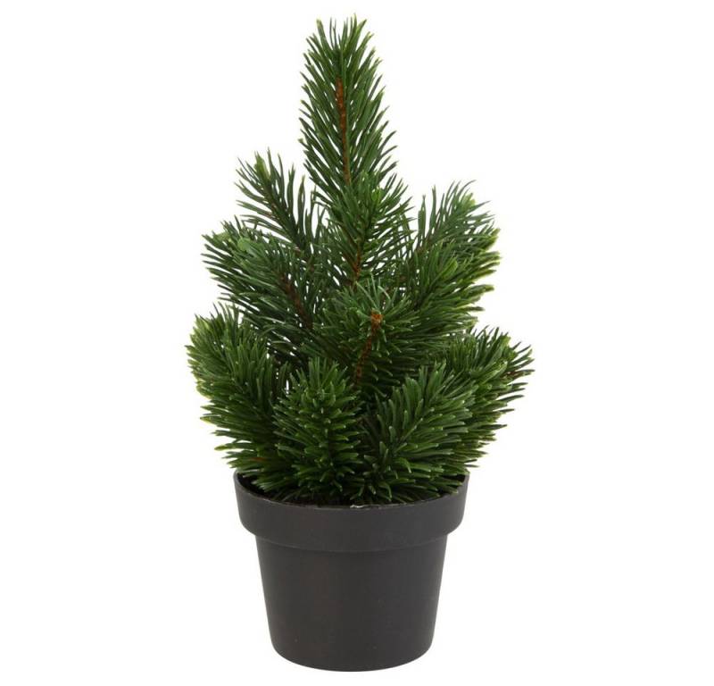 Kunstblume Mini Tannenbaum im Topf - ca. 22 cm, MICA von MICA