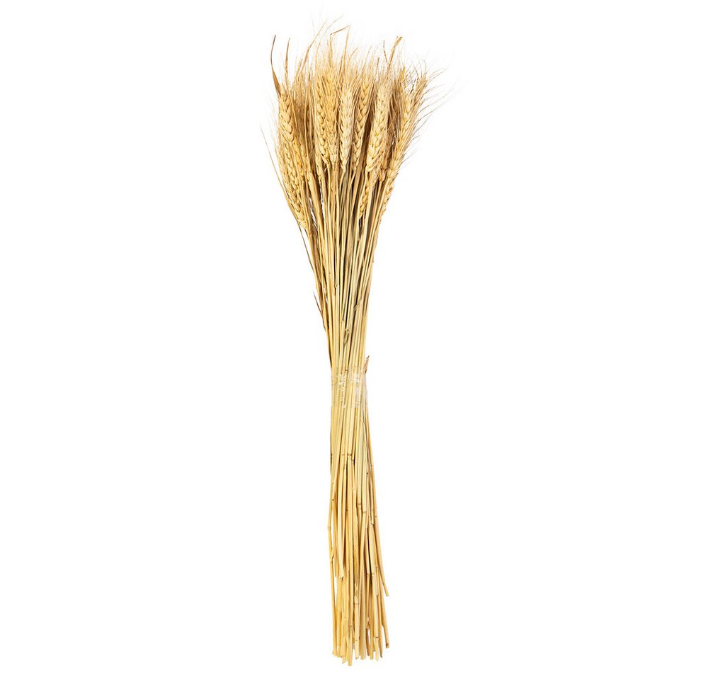 Kunstblume Naturbouquet Weizengras - ca. 60 cm, MICA von MICA