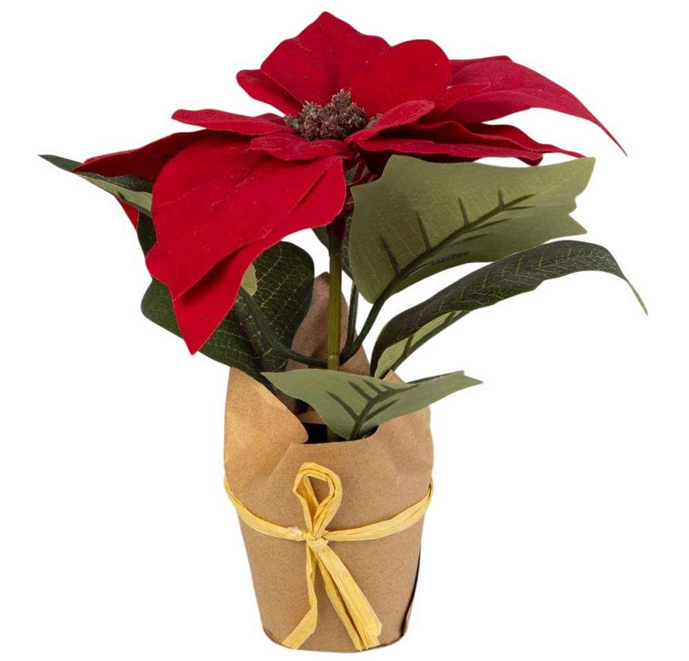 Kunstblume Weihnachtsstern im Topf dunkel rot/weiß - ca. 18 cm - 1 Stück, MICA Kunstblume Weihnachtsstern im Topf dunkel rot/weiß - ca. 18 cm - 1 Stück, MICA von MICA