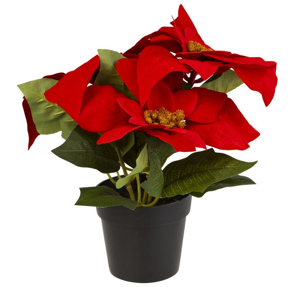 Kunstblume Weihnachtsstern im Topf rot - ca. 24 cm, MICA Kunstblume Weihnachtsstern im Topf rot - ca. 24 cm, MICA von MICA