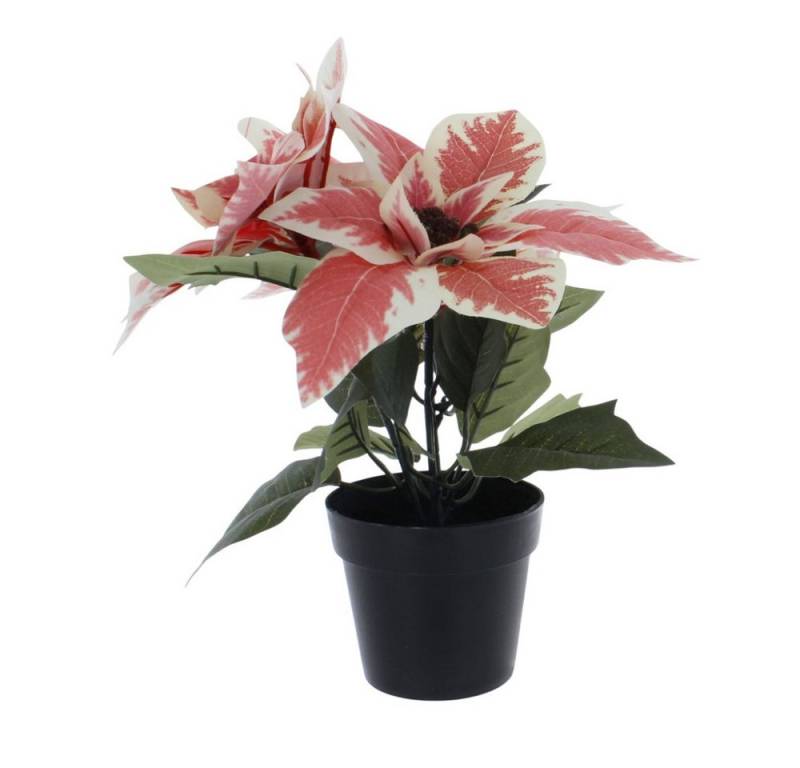 Kunstblume Weihnachtsstern im Topf weiß/pink - ca. 24 cm, MICA Kunstblume Weihnachtsstern im Topf weiß/pink - ca. 24 cm, MICA von MICA