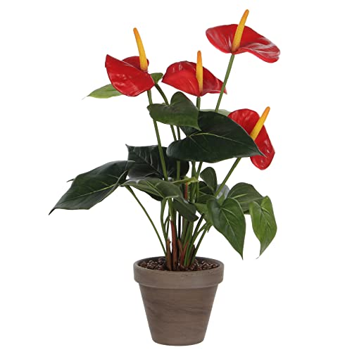 MICA Anthurium Kunstpflanze, Polyester, Rot, H 40 x Ø 30 cm von MICA