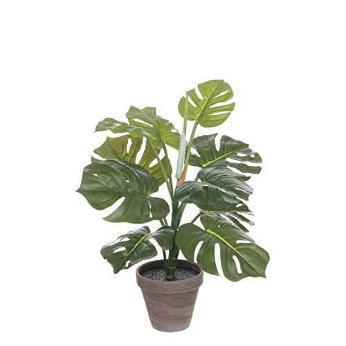 MICA Decorations Monstera Kunstpflanze in Blumentopf - H48 x Ø39 cm - Grün von MICA Decorations