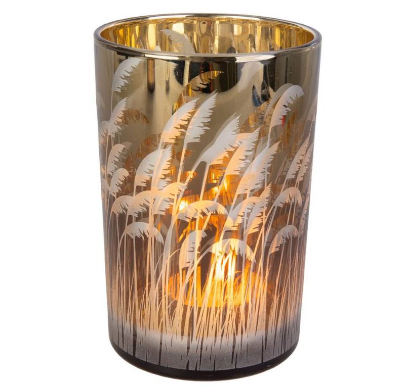 MICA Dekolicht Windlicht - Gräser - braun - ca. 12 x 18 cm von MICA