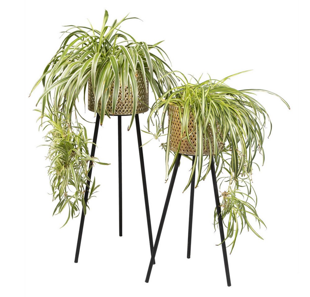 MICA Dekoobjekt Standdeko Yogafigur - Holz - ca. 20 x 5 x 20,5 cm von MICA