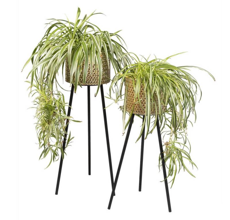 MICA Dekoobjekt Standdeko Yogafigur - Holz - ca. 20 x 5 x 20,5 cm von MICA