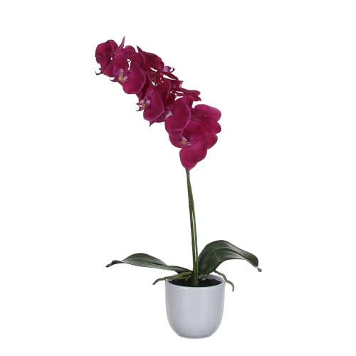 MICA Phalaenopsis Kunstpflanze, Polyester, Lila, H 60 x Ø 16 cm von MICA Decorations