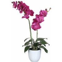 Mica Decorations - Mica Kunstpflanze Phalaenopsis im Topf violett, 66 x 38cm Kunstpflanzen von MICA DECORATIONS
