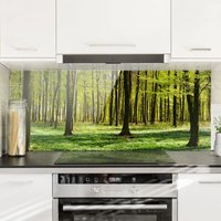 Spritzschutz Glas - Waldwiese - Panorama Quer Größe HxB: 40cm x 100cm von MICASIA