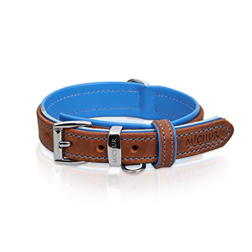 MICHUR Charly Hundehalsband Leder Braun Blau, Lederhalsband Hund, Halsband, Leder, in verschiedenen Größen erhältlich von MICHUR OUR WORLD OF PETS FINEST