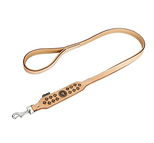 MICHUR Diego Beige Leine, Hundeleine Leder, Flachleine, Lederleine Hund, PASSEND ZUM Halsband Diego Braun Beige Gold, Gr. 150cm x 2,5cm von MICHUR OUR WORLD OF PETS FINEST