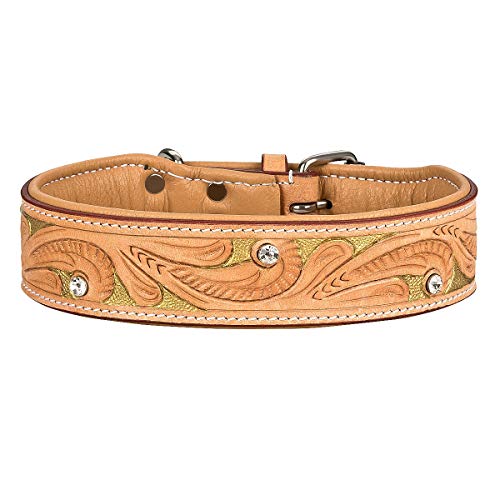 MICHUR GoldenEye Hundehalsband Leder, Lederhalsband Hund, Halsband, Leder, BEIGE, Caramel, Braun, Gold, MIT STANZUNGEN UND FARBHINTERLEGUNG mit Strasssteinen, in verschiedenen Größen erhältlich von MICHUR OUR WORLD OF PETS FINEST