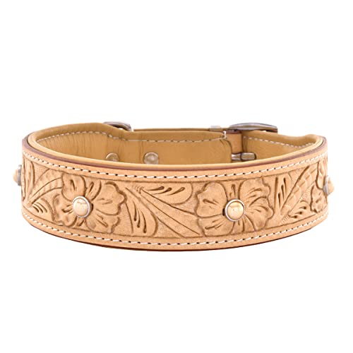 MICHUR Rafael Hundehalsband Leder, Lederhalsband Hund, Halsband, BEIGE, Leder, mit gestanzten Blumenmuster und beigen Steinchen, in verschiedenen Größen erhältlich, Halsumfang 41-49cm von MICHUR OUR WORLD OF PETS FINEST