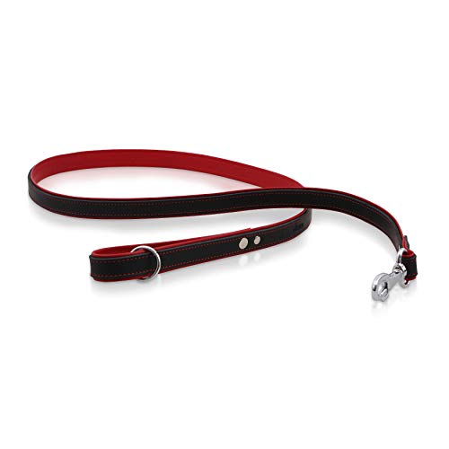 Michur Minimo Rot Leine, Hundeleine Leder, Lederleine Hund, PASSEND ZUM Halsband Minimo Rot, Leder von MICHUR OUR WORLD OF PETS FINEST