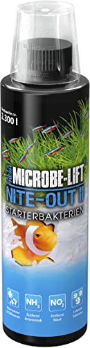 Starterbakterien Aquarium 236 ml – MICROBE-LIFT Nite-Out II – Reduziert Ammonium & Nitrit – Für Neustart in Süß- & Meerwasser – Filterstarter – Wasseraufbereitung mit lebenden Bakterien Starterbakterien Aquarium 236 ml – MICROBE-LIFT Nite-Out II – Reduziert Ammonium & Nitrit – Für Neustart in Süß- & Meerwasser – Filterstarter – Wasseraufbereitung mit lebenden Bakterien von ARKA