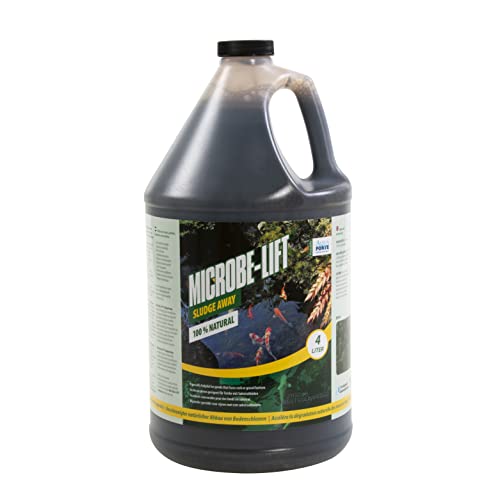 AquaForte Microbe-Lift Schlammweg 4 Liter. Schneller und natürlicher Abbau von Bodenschlamm, Klarer Teich, hemmt Faden und Schwebealgen, Biologisch abbaubar von AquaForte