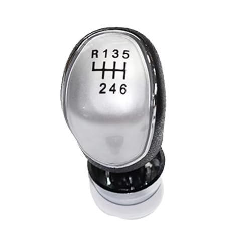 schaltknopf Für Ford Für Focus Mk2 FL Mk3 Für Fiesta Mk7 Für Kuga Auto Schaltknauf shift knob(6 Speed Silver) von MIENAOC