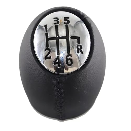 schaltknopf Für Master 2 3 II III MK3 2004-2019 Manuelle Hebel Griff Schaltknauf shift knob(123456R leather) von MIENAOC