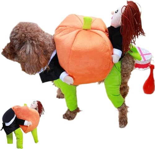 Halloween-Hundekostüme Kürbis, lustige Hunde-Weihnachtskostüme, tragendes Kürbiskostüm, schicke Welpenbekleidung, Jacke for kleine Hunde und Katzen (Color : M, Size : Halloween) von MIGEDY