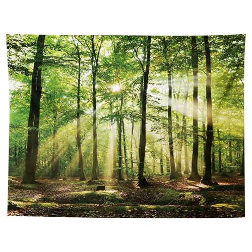 MIGIFTDY Waldbaum Wandteppich Extra Großer Nebliger Wald Wandbehang für Home Office Dorm Indoor und Outdoor Dekoration 150 cm x 200 cm (B) von MIGIFTDY