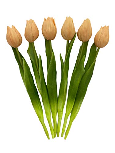 MIJOMA Künstliche Tulpen, künstliche Blumen, Real Touch,Tisch-Dekoration (6 Stück - Länge 27cm, apricot) von MIJOMA