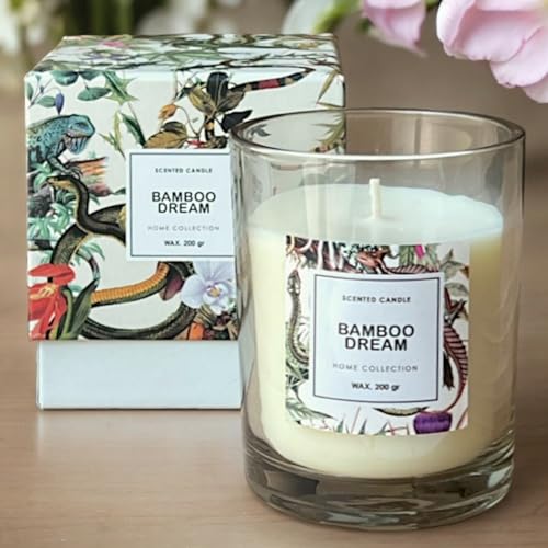 MIJOMA Duftkerze im Glas 200g, Aroma-Kerze mit 50 Stunden Brenndauer - Elegante & Gemütliche Wohnatmosphäre, Exquisite Geschenkidee für Duftliebhaber - Genuss für die Sinne (Bamboo Dream) von MIJOMA