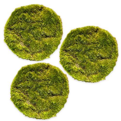 MIJOMA Künstliche Grasplatte Moosplatte Ziergras Ziermoos - Premium Qualität, 6 Stück (Ø 20 cm, 3 Stück Moosplatte) von MIJOMA